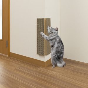 6-S_210406_113_1_892