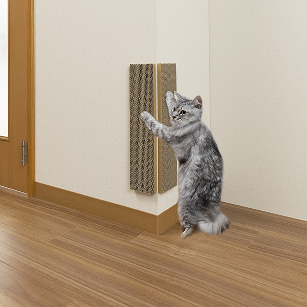 6-S_210406_113_1_892