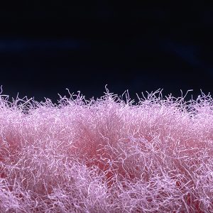 7-業務用曲がるトイレクリーナー