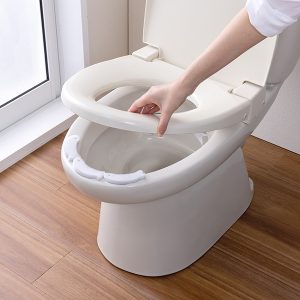 N250313_12_1_1_1018 のコピー