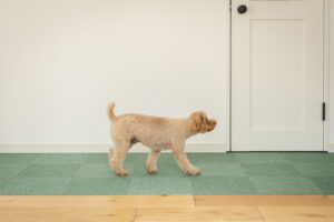 9-JSタイルマット30×30cm　20枚入