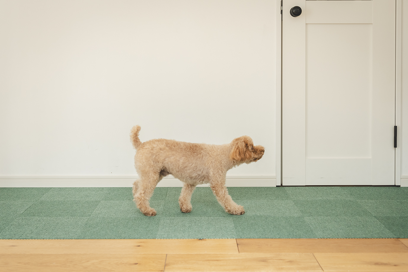 9-JSタイルマット30×30cm　20枚入