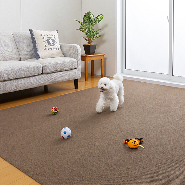 3-120-各6枚_pb1806118224_1