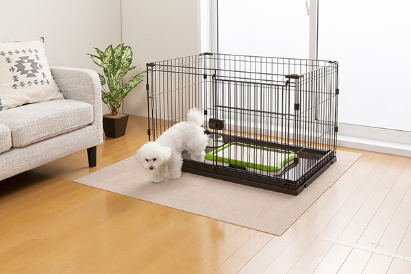 5-120-2枚_pb1806118272_1