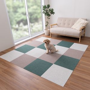 3-S_250313_38_1_1017.jpg_45角FGR5枚SBE5枚MGY6枚