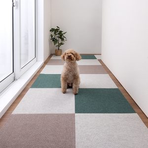 4-250313_31_1_1017_45角FGR3枚SBE3枚MGY7枚