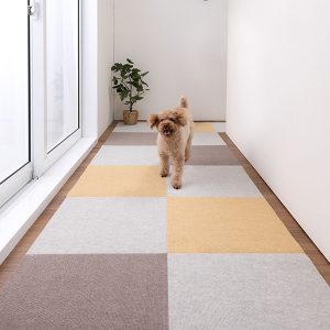 5-250313_33_1_1017_45角MD3枚SBE3枚MGY7枚