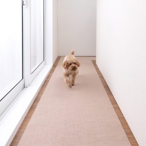 6-250313_21_1_1017_BE240cm