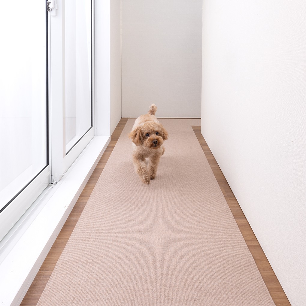 6-250313_21_1_1017_BE240cm