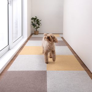 6-250313_34_1_1017_45角MD3枚SBE3枚MGY7枚