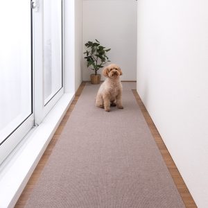 7-250313_28_1_1017_SBE240cm