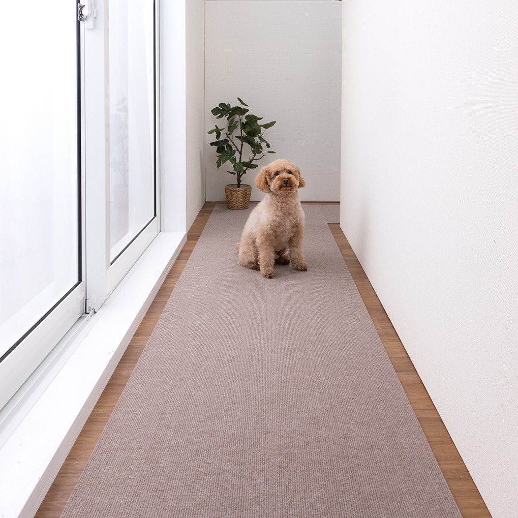 7-250313_28_1_1017_SBE240cm