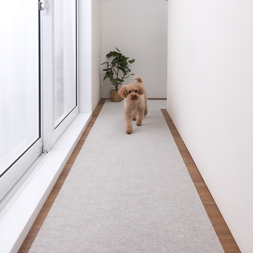 8-250313_24_1_1017_MGY240cm