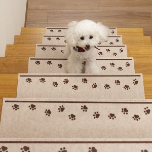 5-おくだけ吸着階段マット　肉球　6枚入