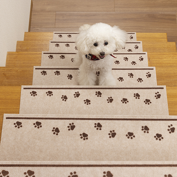 5-おくだけ吸着階段マット　肉球　6枚入