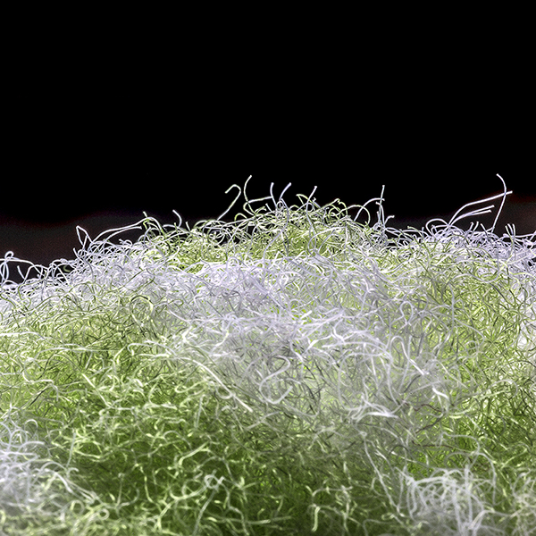 6-コーティング用トイレクリーナー