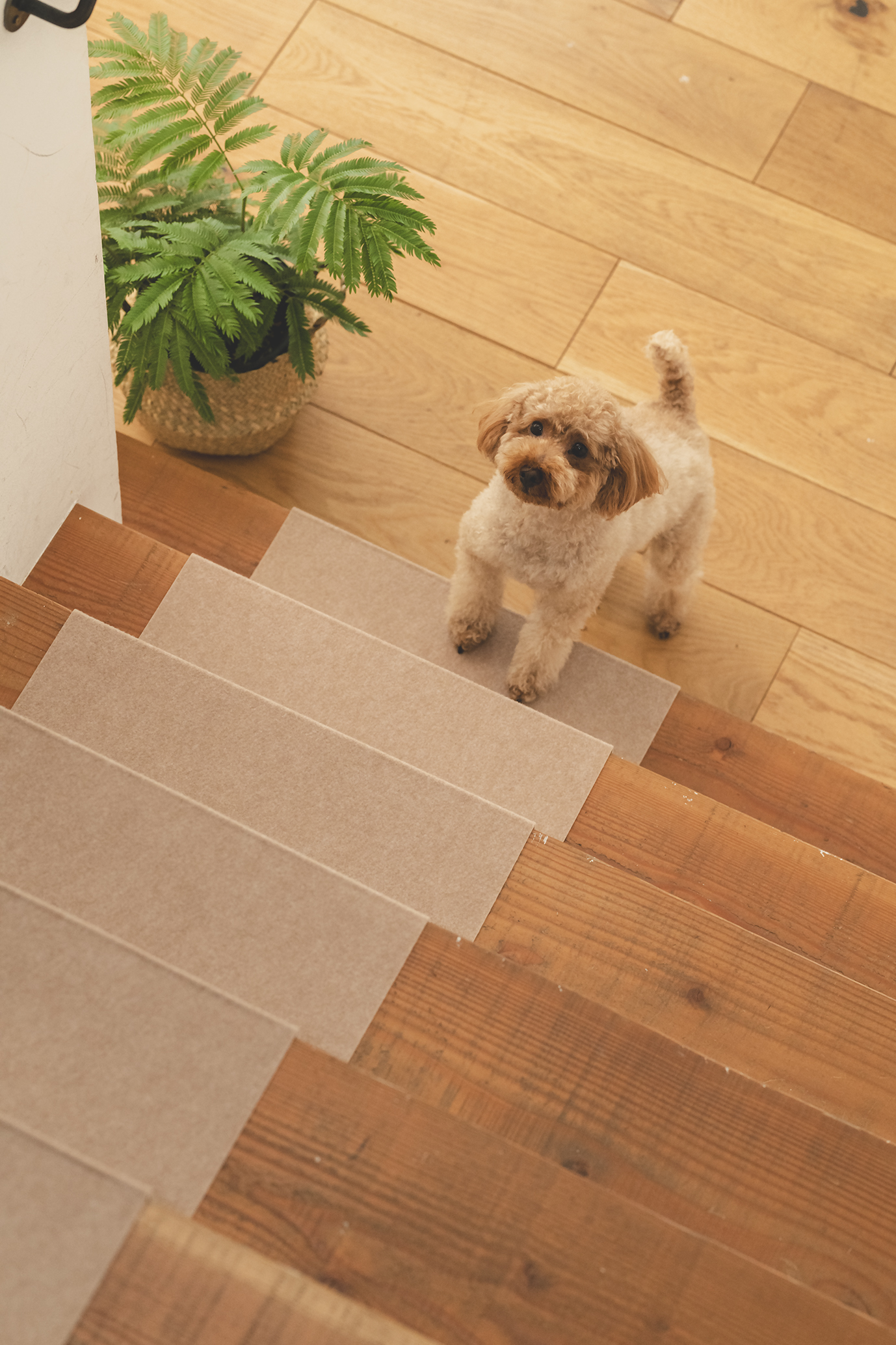 6-折り曲げ付階段マット