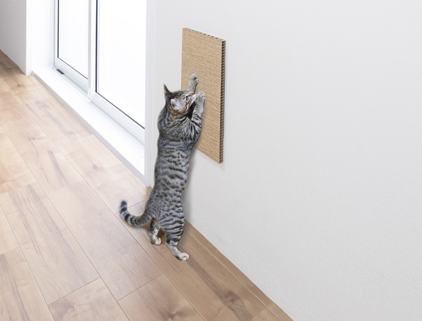吸着壁に貼れる猫のつめとぎ
