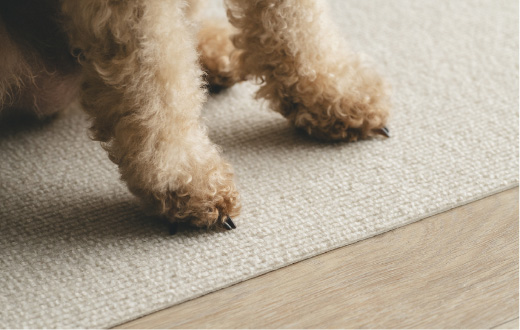マットに座る犬の足元