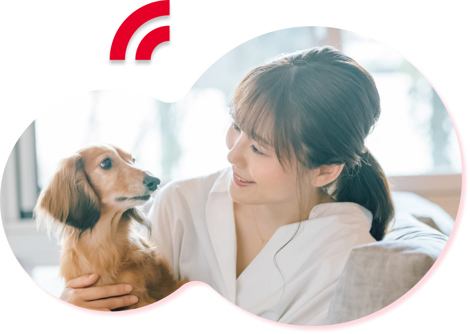 人と犬が向き合っている