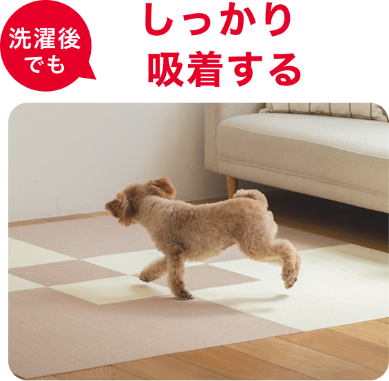 洗濯後でもしっかり吸着する