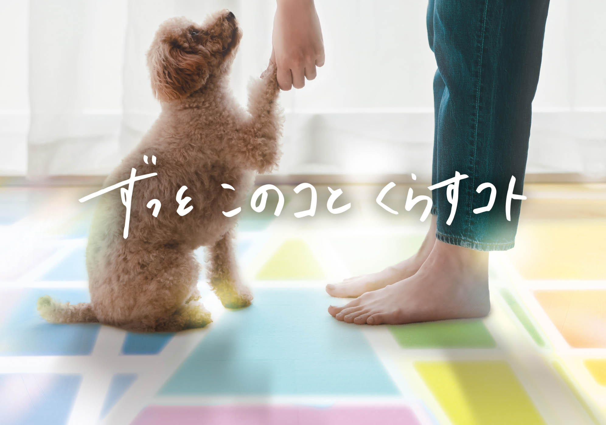 犬が人とくつろいでいる