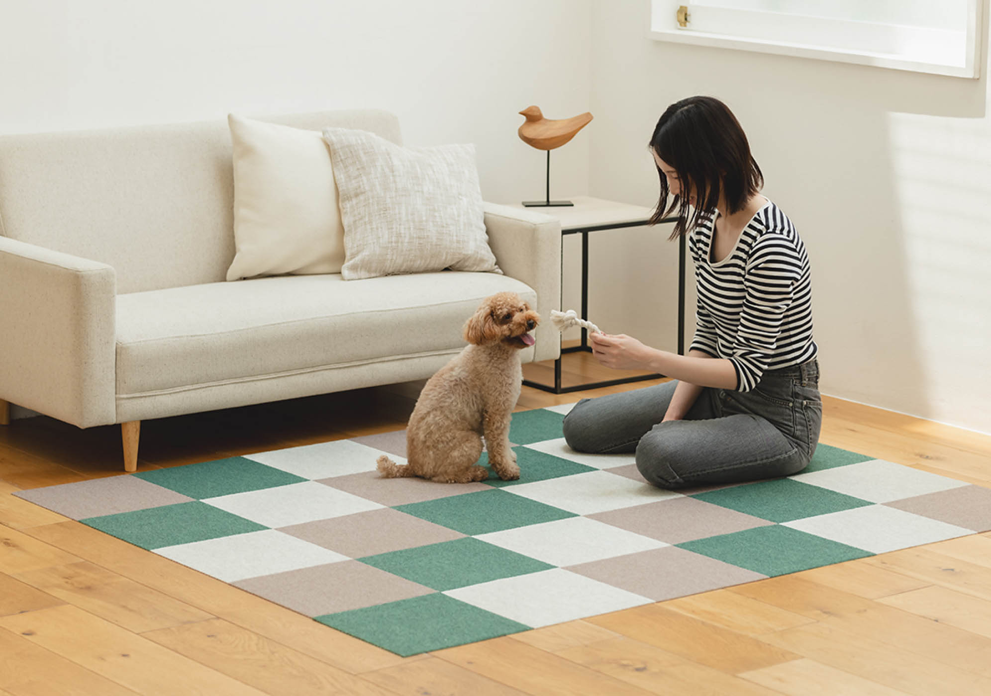犬が人とくつろいでいる