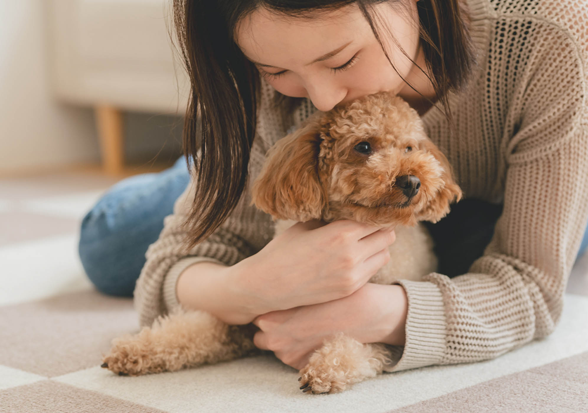 犬が人とくつろいでいる