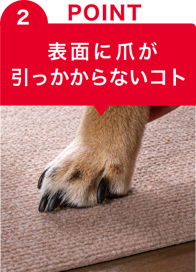 POINT2 表面に爪がひっかからないコト